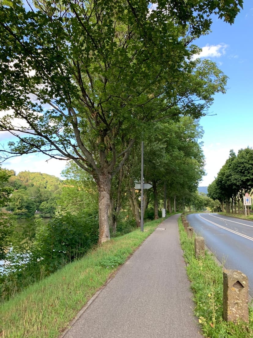 Neckar river