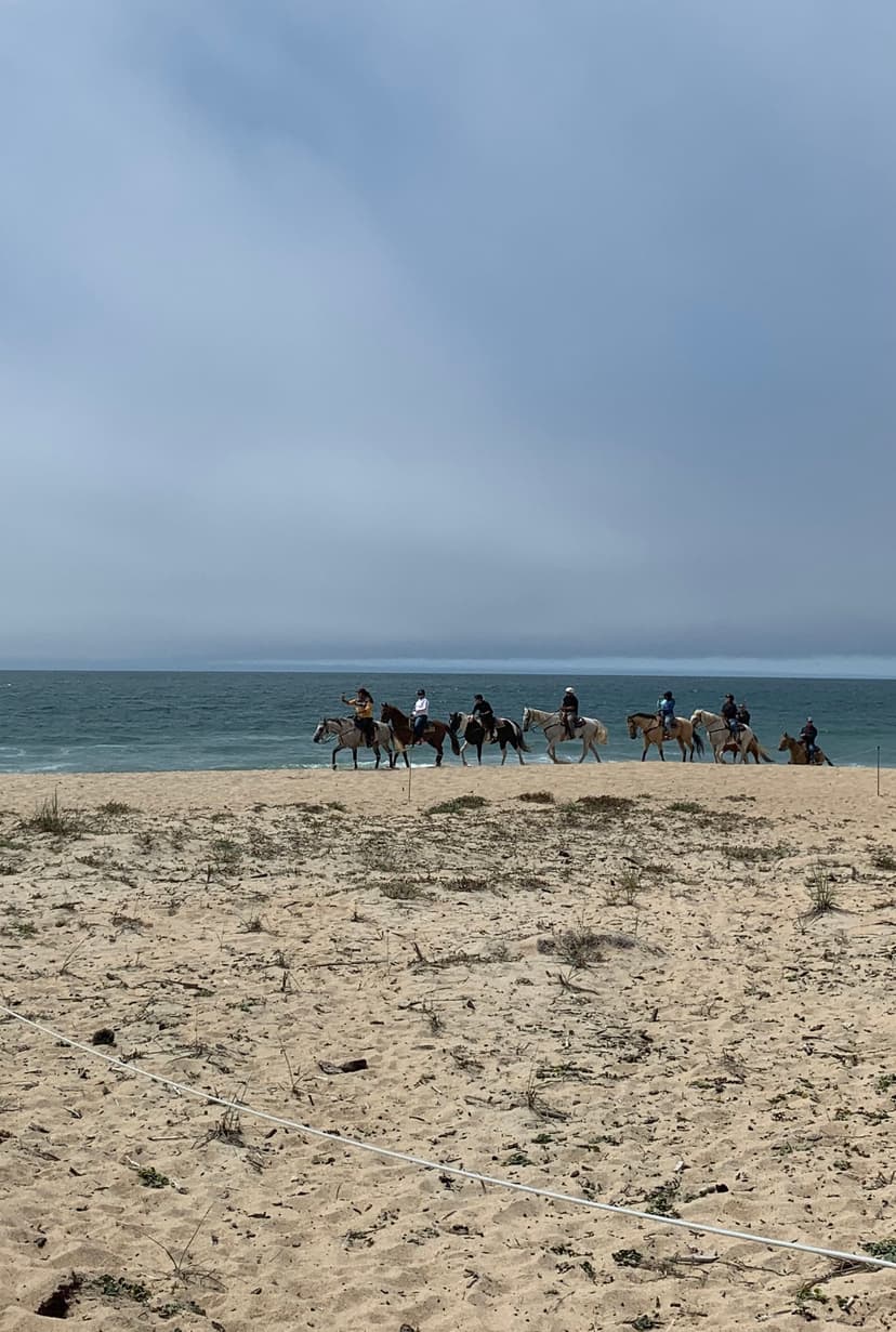 moss landing beach